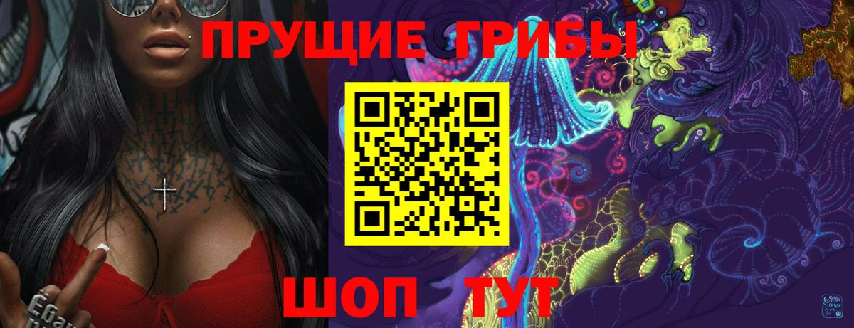 Псилоцибиновые грибы прущие грибы  Вход с VPN  Луга 